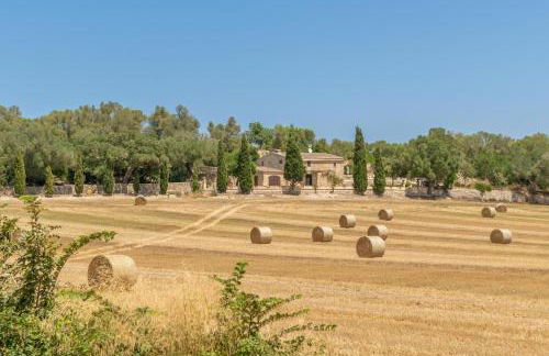 Ses Cases Velles de Son Baró - Foto 5
