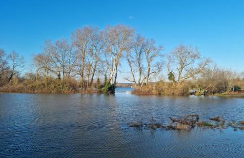 Thames View Marlow - Foto 7