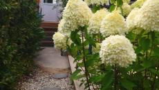 Studio plein de charme - Foto 4