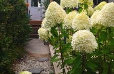 Studio plein de charme - Foto 4