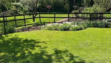 Dog & Family Friendly Private Cottage in Orleton - Foto 5