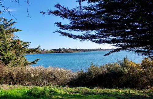 Des chevreuils - Photo 21