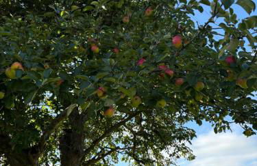Oak Barn, Ludlow - Foto 45