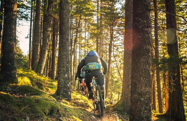 Cabañas Claro De Luna - Foto 35