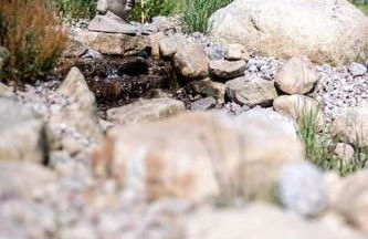 Le Domaine des Fleurs - Appartement La Gentiane - Foto 18