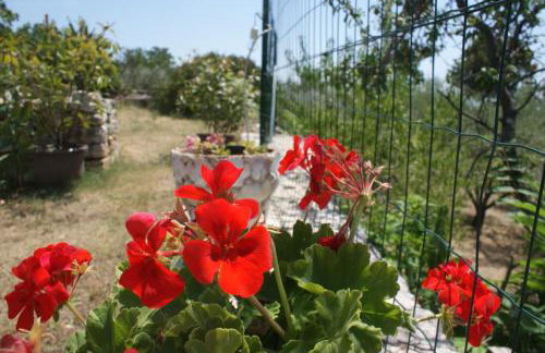 Studio apartment Rimanić - Foto 24