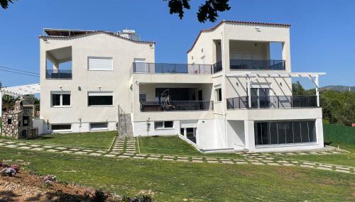 Platan Paradise - Foto 4