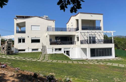 Platan Paradise - Foto 4