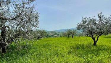 La porta del Gran Sasso - Photo 2