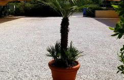 Danio beach house - Foto 44