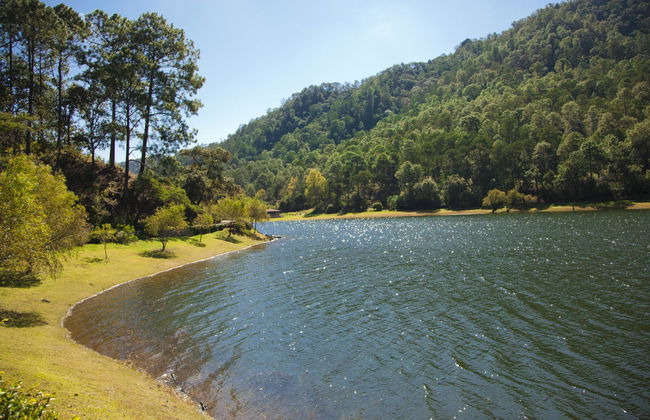 Sierra Lago Resort & Spa - Foto 15