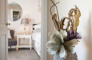 Shore View Cottage - Photo 10