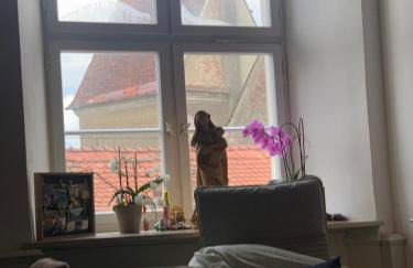 Cozy apartment in a historic house - Foto 18