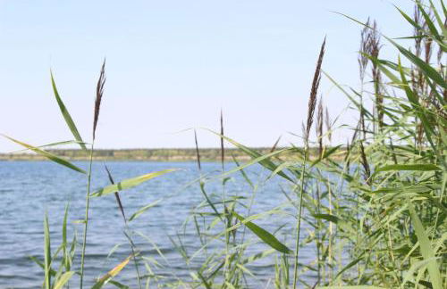 Lifestyle Ferienhaus - Foto 26