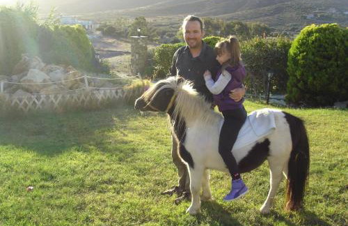 Ktima Nikola - Foto 70