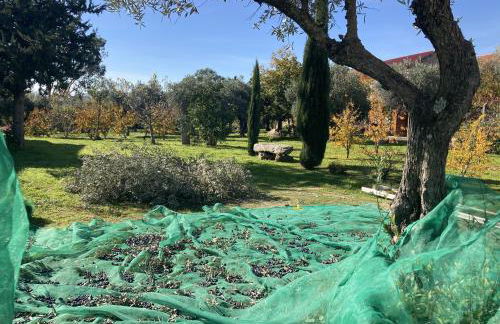 Casa Ar da Beira - Serra da Estrela - Belmonte - Foto 16