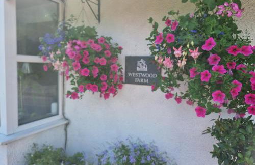 Westwood Farm - Photo 31