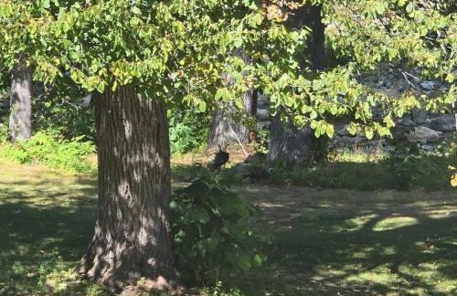 The Cardinal Lodge- A Riverside Retreat - Foto 23