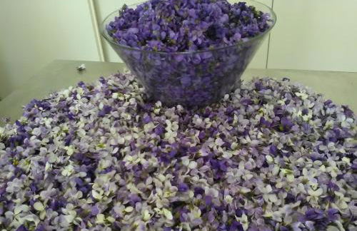 All'Antica Ruggine - Photo 32