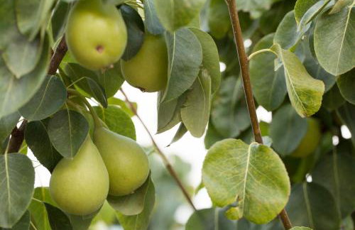 Agunì Agriturismo e Locanda - Foto 40