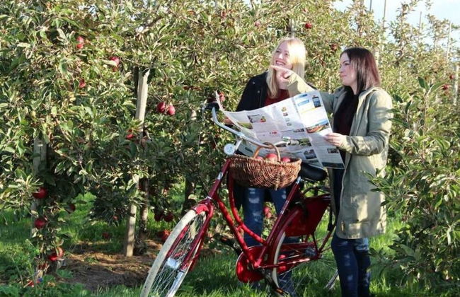 H a r m o n i e - Country House "An der Oste" - Foto 13