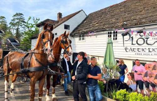 Wysteria, North Lodge - Photo 10
