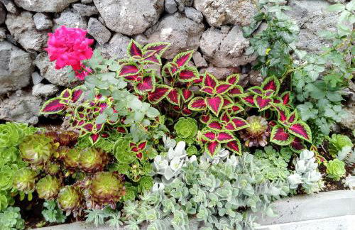 House with sea view in Santo Amaro, 212 sq m, terrace - Photo 31