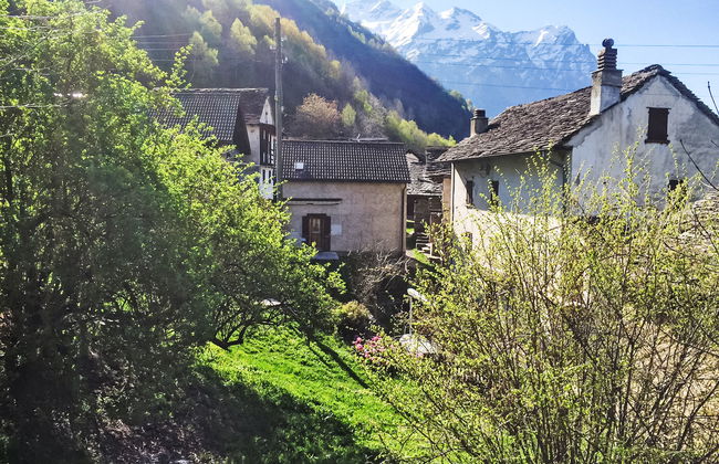 Marianne Plus - Foto 14