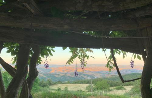 Podere del Piccini con piscina in val d Orcia Toscana - Foto 17