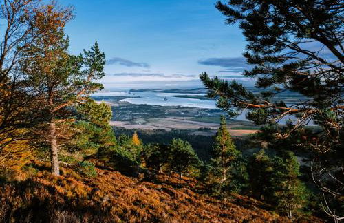 The Dalmore Pod - Foto 9