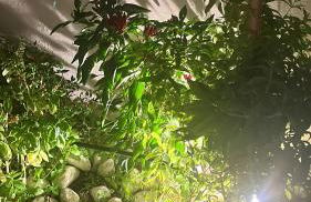 Aria di Mare - Foto 23