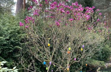 Waldtraum Wandlitzsee - Foto 46