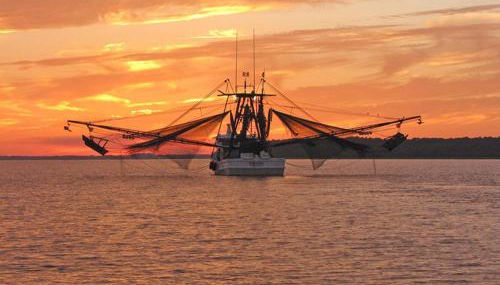 527 Sunsuite - Foto 4