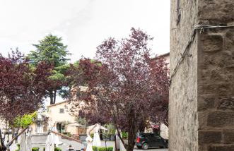 Alloggio turistico All'Ombra della Torre - Foto 8