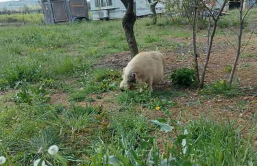 AGRITURISMO AZIENDA AGRICOLA FERRARI M.RITA - Photo 18