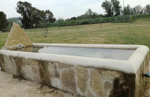 Palazzo Piccolo - Foto 20