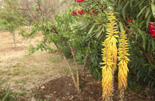 The Dragonfly Retreat - Photo 64