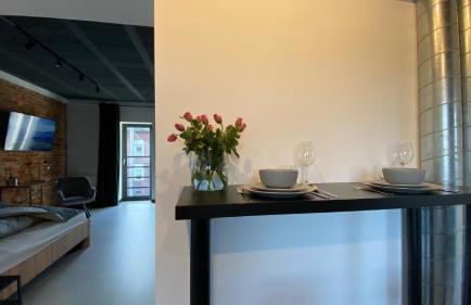 Apartamenty Gliwice Staromiejska 65 - Foto 62