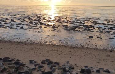 Fewo am Yachthafen - Foto 16