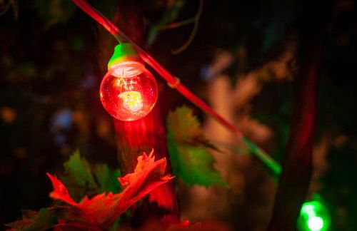 Hier et Aujourd’hui 21 - Foto 42