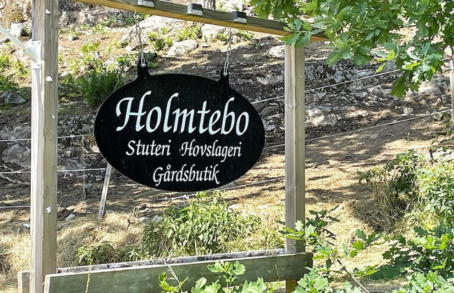 5 Person Holiday Home in Valdemarsvik-by Traum - Foto 15