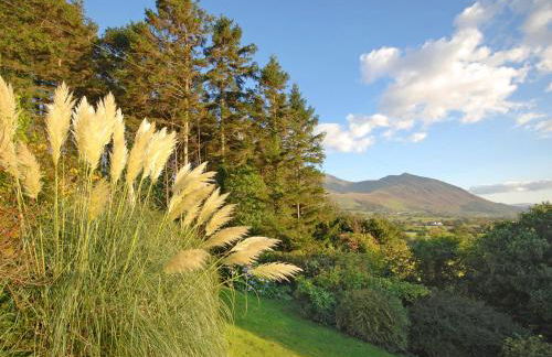 Holly Bank - Foto 28