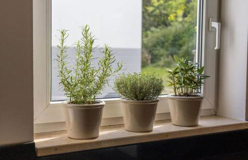 Grafschafft angenehmes wohnen - 2 Schlafzimmer I Tiefgarage I Balkon - Photo 16