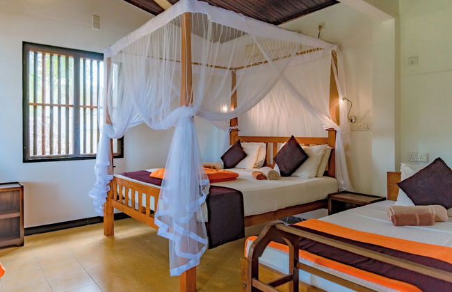 Amor Beach Unawatuna - Photo 20