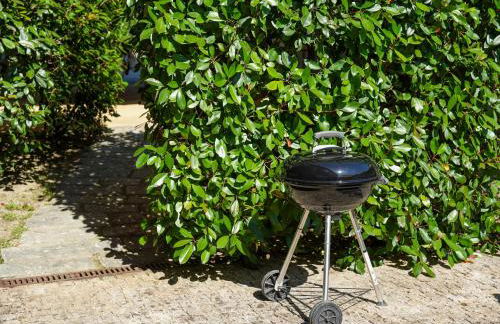 Recantos na Portela - Foto 25