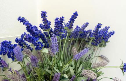 Casa Vilma 3 - Peschiera del Garda - Foto 49