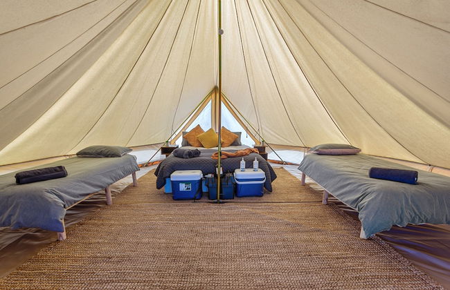 Forrest Holiday Park - Photo 12