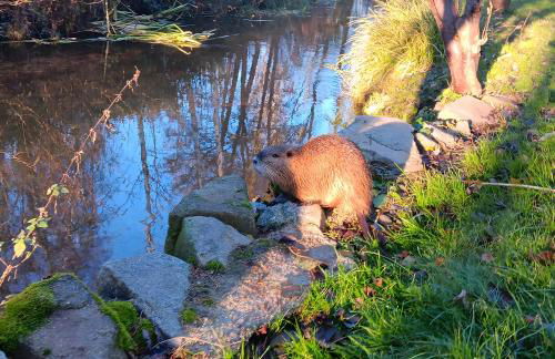 Spreequartier - Foto 30