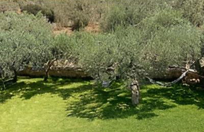 Nasia’s house - Foto 11