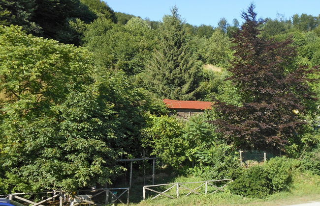 Quercia (SBO100) - Foto 15